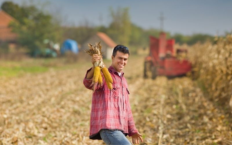 Rolnik z kukurydzą.