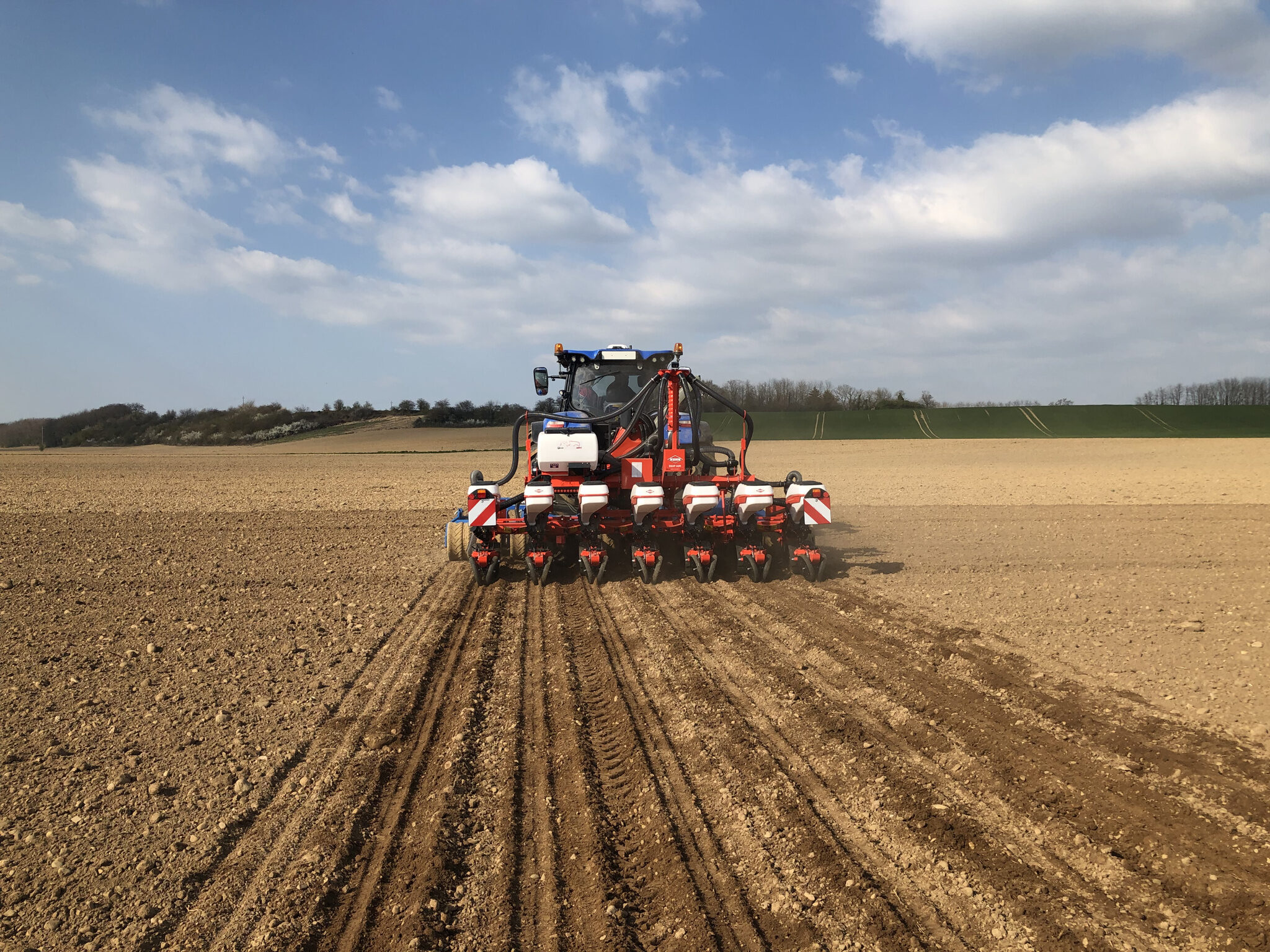 1443_15741_MEDIUM_MAXIMA-3-T-IM-8-9_WORK_SOIL -2