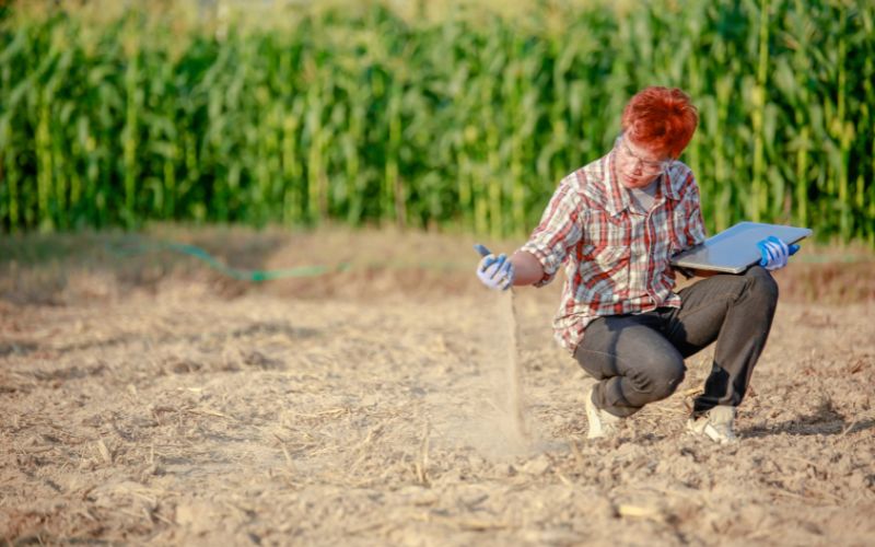 sprawdzanie ph gleby